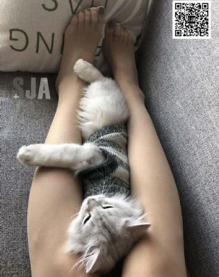 法医秦明电视剧免费观看_国产剧高清视频播放